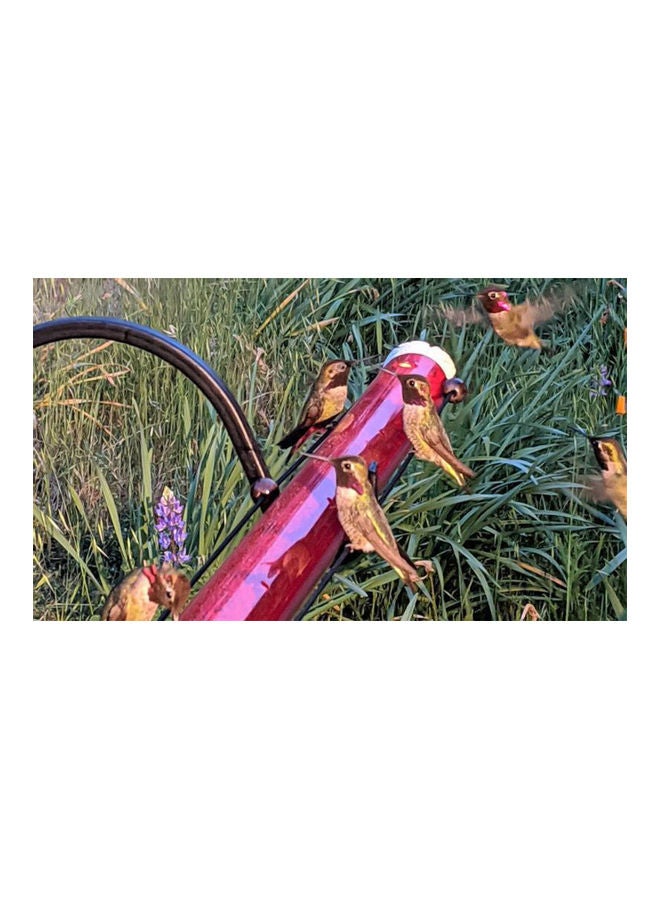 Generic - Hummingbird Feeder Red - Image 1