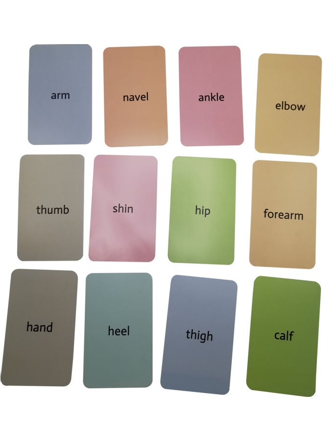 Little Kitabi 40 My Jumbo Flash Cards - Human Body  - Image 2