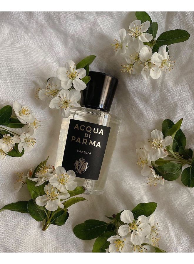 أكوا دي بارما - عطر سيجنتشر ساكورا EDP 180ملليلتر - Image 1