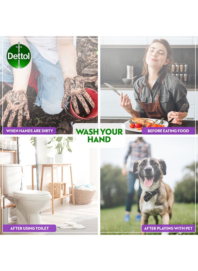 Dettol - Sensitive Anti-Bacterial Liquid Handwash, 400ml - Image 1