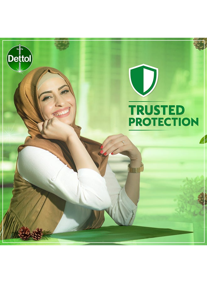 Dettol Original Showergel And Bodywash Pine Fragrance 250ml  - Image 4