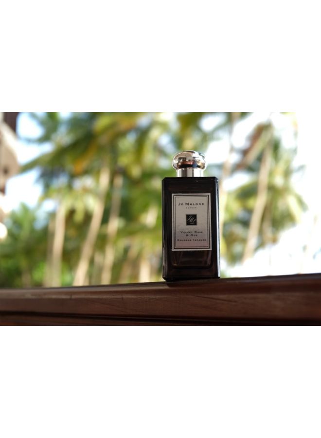 jo Malone - Velvet Rose And Oud Cologne Intense 100ml - Image 1
