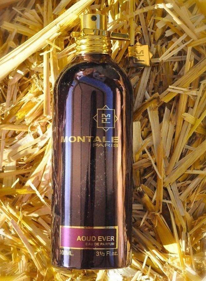 MONTALE Aoud Ever EDP 100ml Best Price KSA Riyadh, Jeddah
