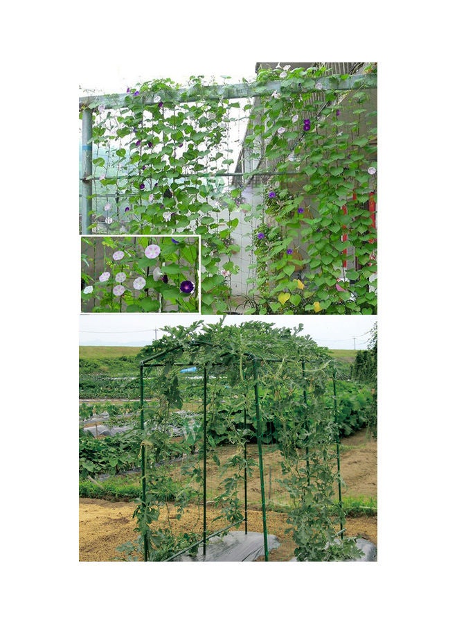 شبكة تسلق للنباتات الحدائق أخضر 1.8x1.8متر - Image 2