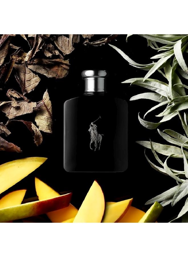 رالف لورين عطر بولو بلاك 125ملليلتر - Image 4