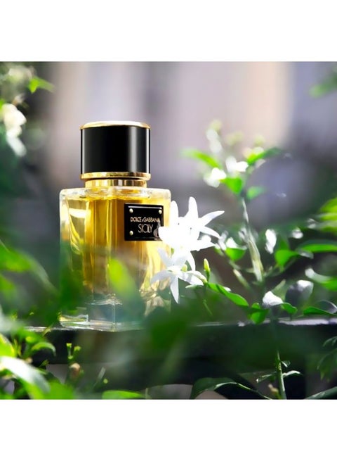 Dolce&gabbana Sicily Perfume Dolce Gabbana Sicily Gabbana