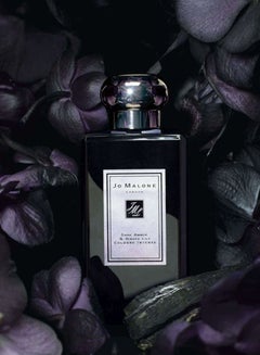 jo Malone Dark Amber And Ginger Lily Cologne 100ml  - Image 5