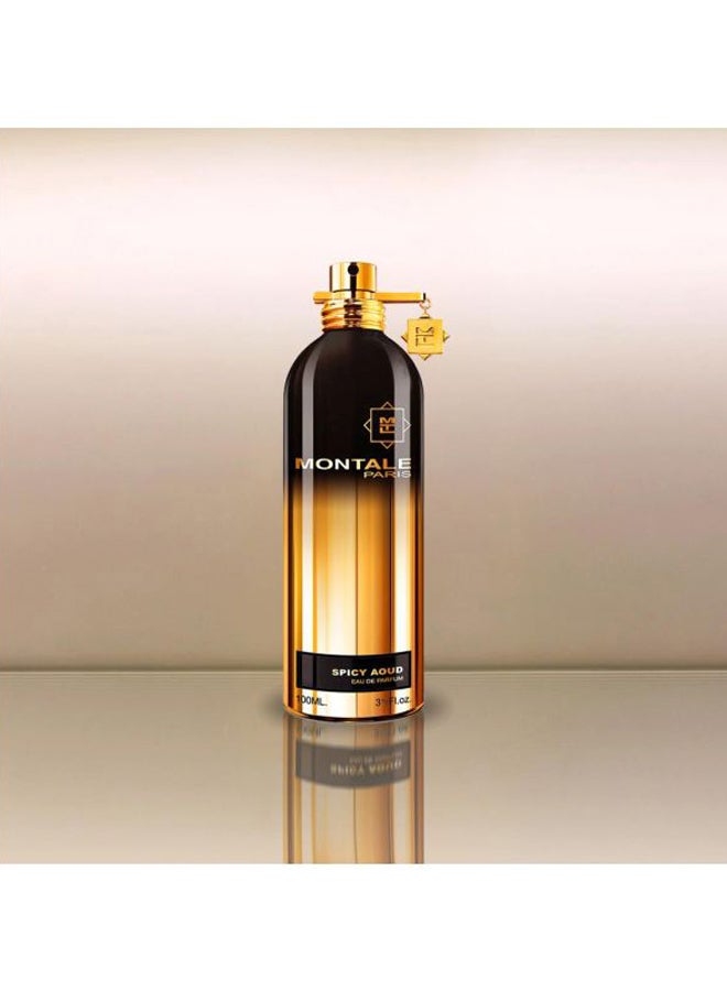 MONTALE Spicy Aoud EDP 100ml - Image 5
