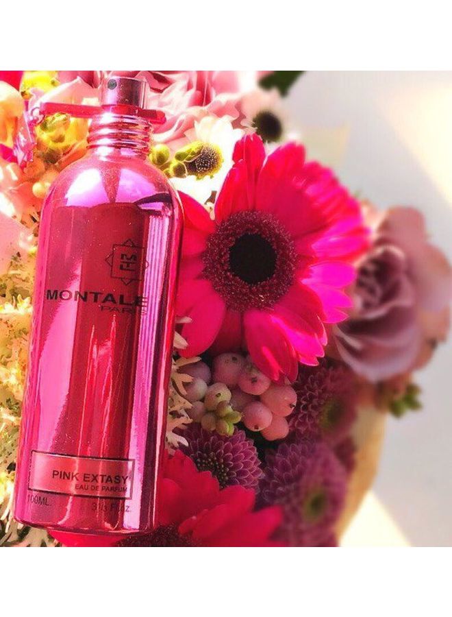 MONTALE - Pink Extasy EDP 100ml - Image 1