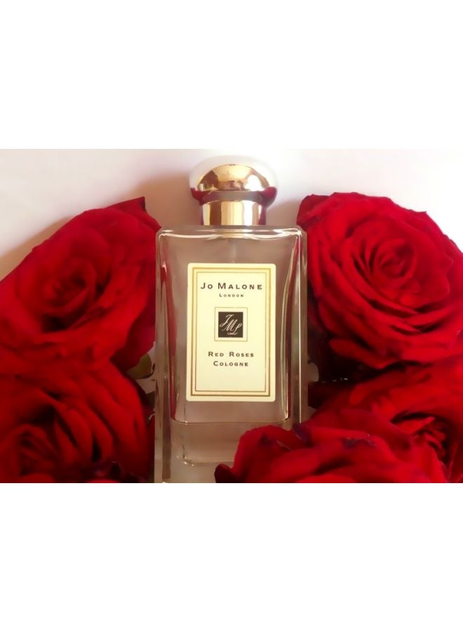 Red Roses Cologne 100ml - v1620507399/N26880498A_5