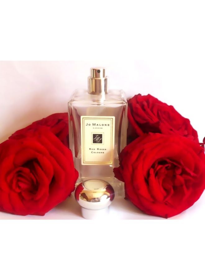 Red Roses Cologne 100ml - v1620507399/N26880498A_6