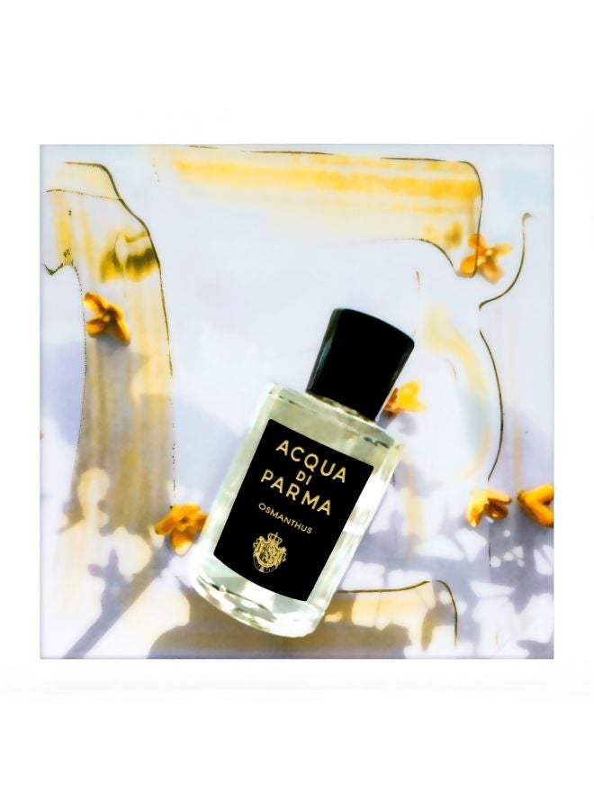 أكوا دي بارما عطر سيجنتشر ساكورا EDP 100ملليلتر  - Image 4