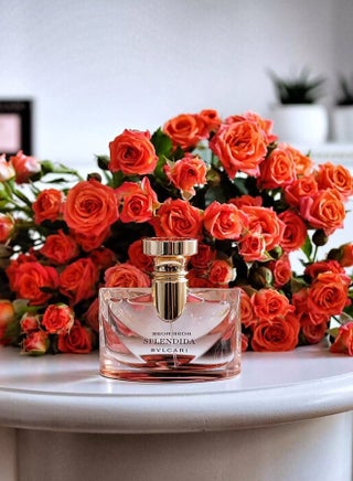 HOT Rose Edp Bvlgari Splendida Rose Rose Review BVLGARI