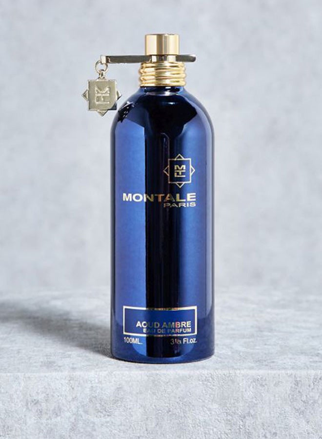 MONTALE Aoud Ambre EDP 100ml - Image 4