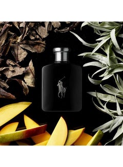 Polo Black EDT 75ml - v1620646776/N28546116A_4