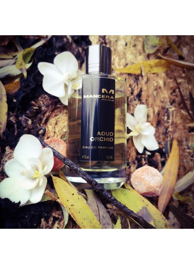 Mancera Aoud Orchide EDP 120ml  - Image 5