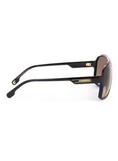 Bug Eye Sunglasses - v1620652141/N47309328A_3