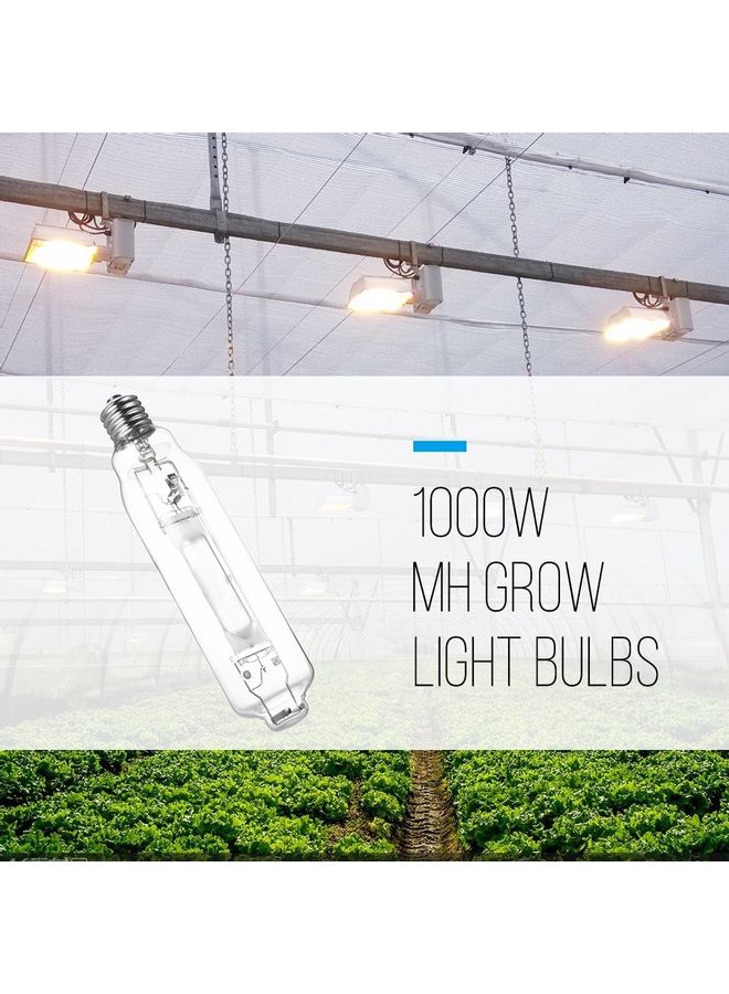 Metal Halide  Indoor Plant Growth Light Clear - v1620748391/N47406769A_4