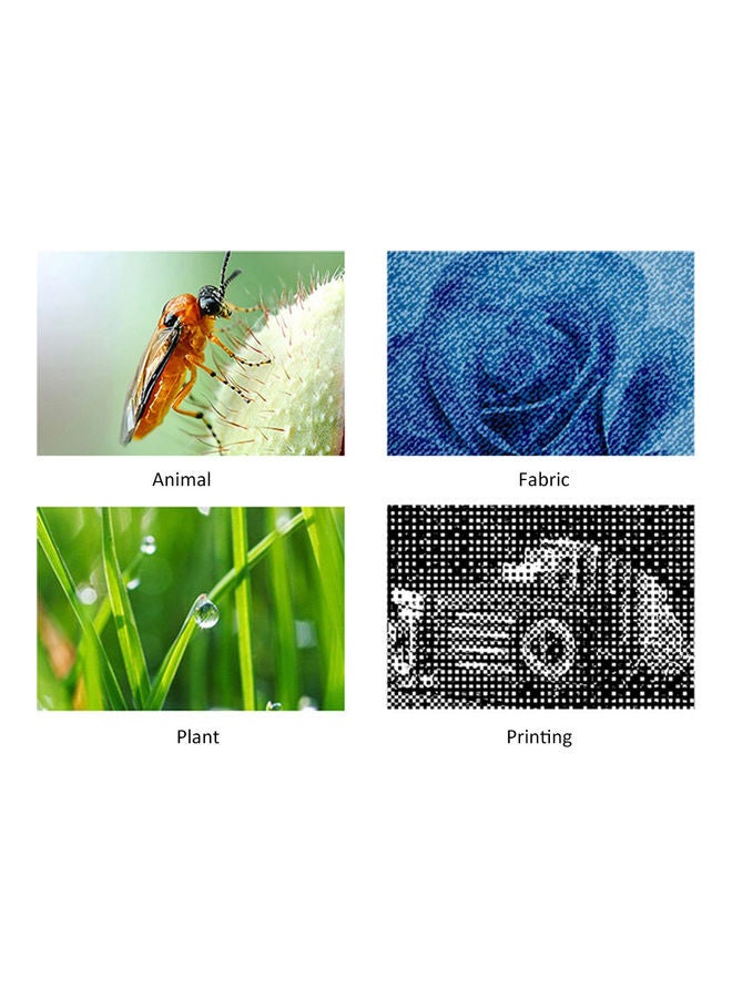 Generic - 3-In-1 Digital Microscope With 1000x Magnification Black - Image 1