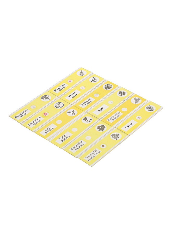 48 Piece Prepared Microscope Slides Set Multicolour