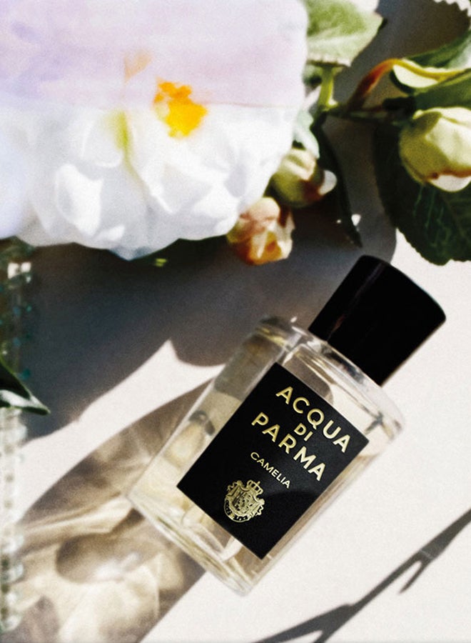 acqua di parma - Signature Camelia EDP 180ml - Image 1
