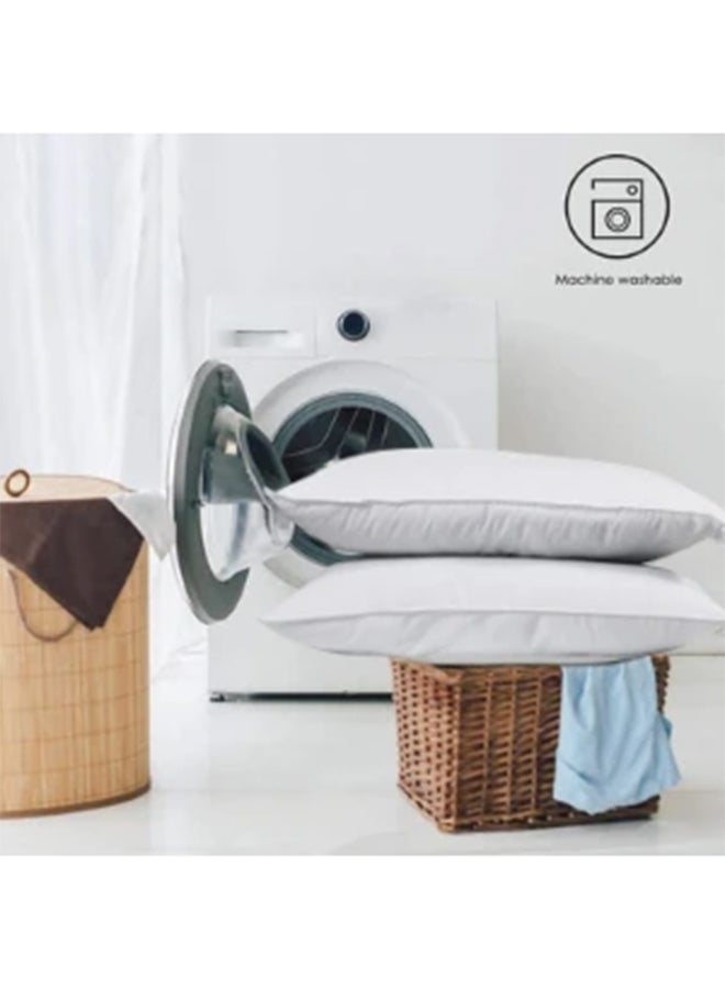 Home Canvas Fiesta Set Of 2 Premium Pillow 200TC Cotton Wood White 75x50cm - Image 5