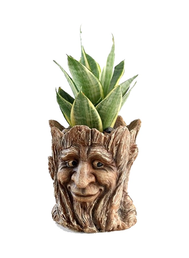 Tree Head Multipurpose Vase Beige 13x15x13cm  - Image 3