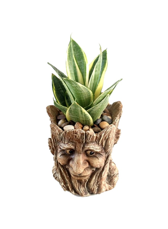 Tree Head Multipurpose Vase Beige 13x15x13cm  - Image 4