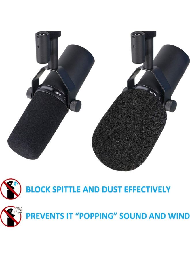 Boom Arm Mic Stand with Pop Filter