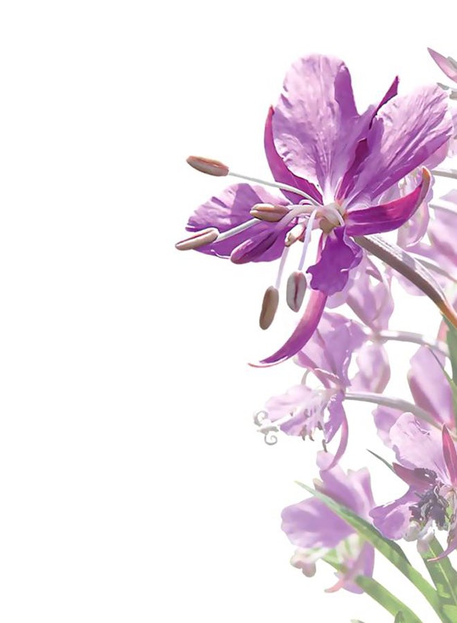 Mavala Pore Detox Toning Lotion Blue 200ml - Image 4