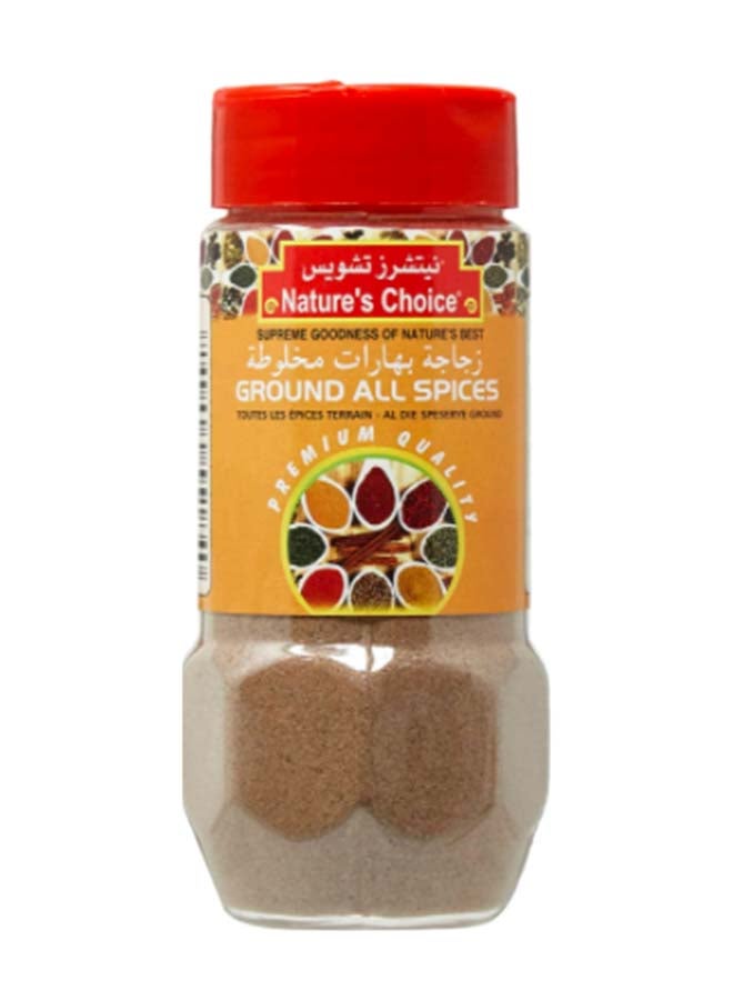 Nature's Choice All Spices Ground Jar 100grams  - Image 1
