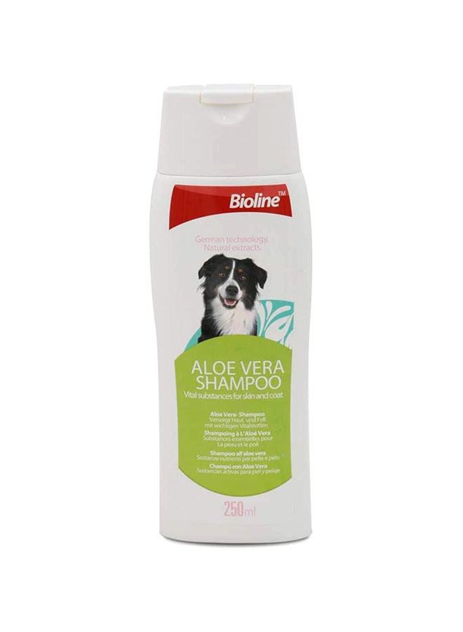 Bioline Aloe Vera Shampoo Retains Moisture In The Skin Dog Multicolour 250ml  - Image 1