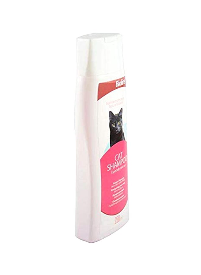 Cat Shampoo Mild Kitten Shampoo Multicolour 250ml