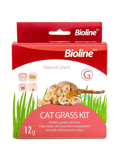 Cat Grass Kit In Vitamins Multicolour 12grams