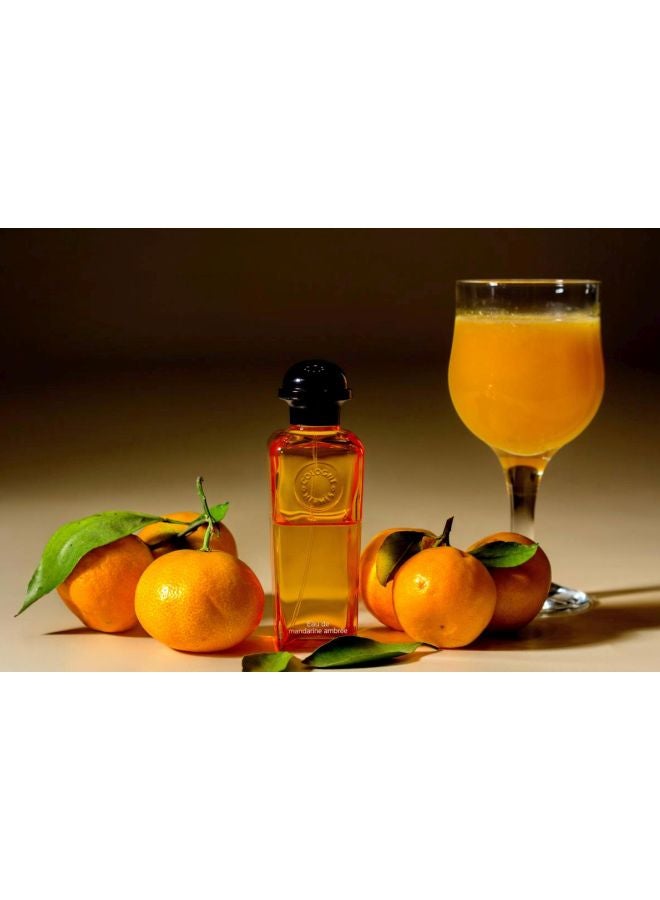 HERMES - Eau De Mandarine Ambree 100ml - Image 1