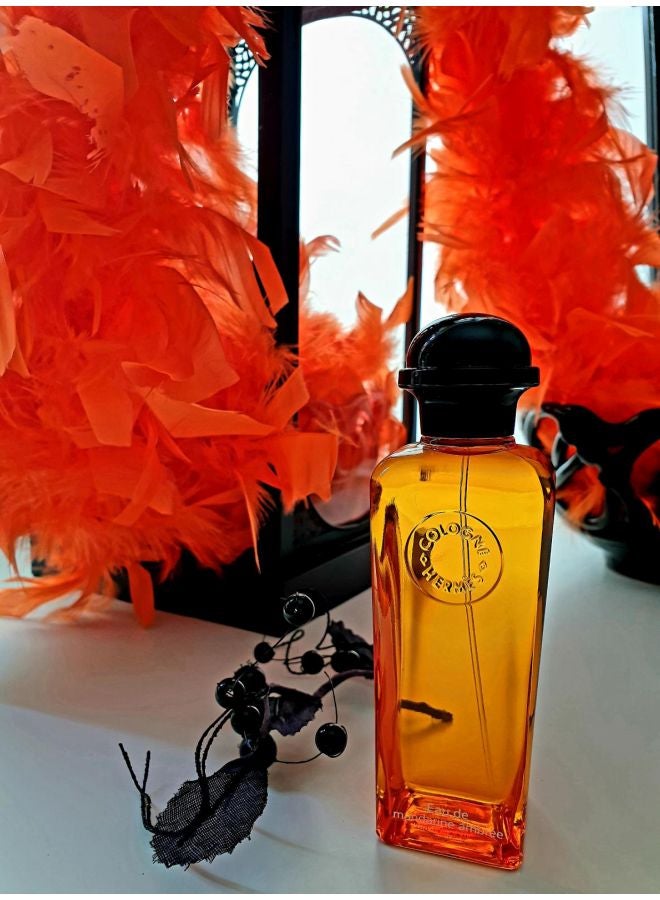 HERMES - Eau De Mandarine Ambree 100ml - Image 1