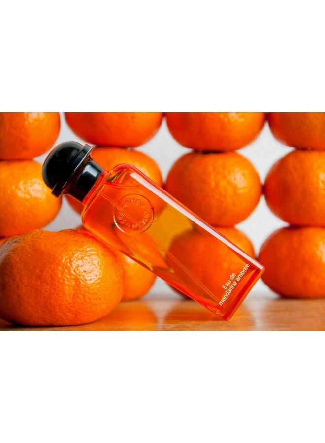HERMES - Eau De Mandarine Ambree 100ml - Image 1