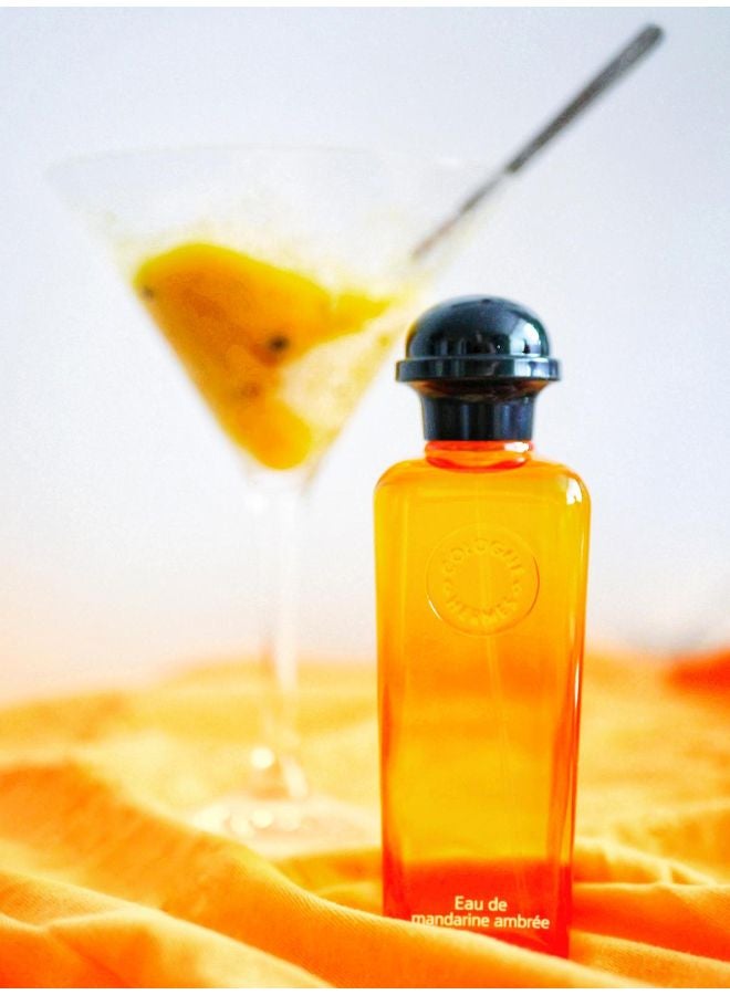 HERMES - Eau De Mandarine Ambree 100ml - Image 1