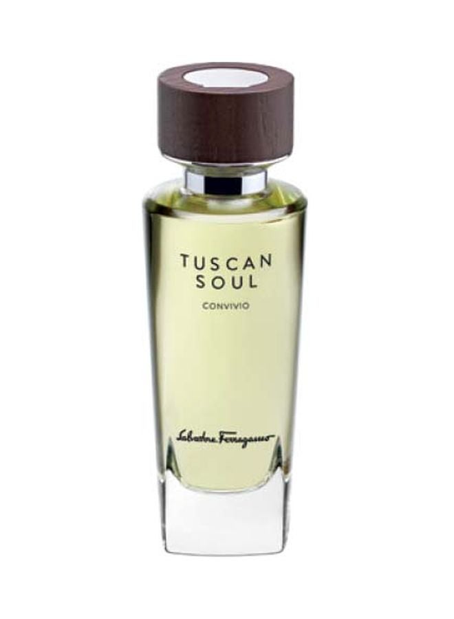 Salvatore Ferragamo - Tuscan Soul Convivio EDT 75ml - Image 1
