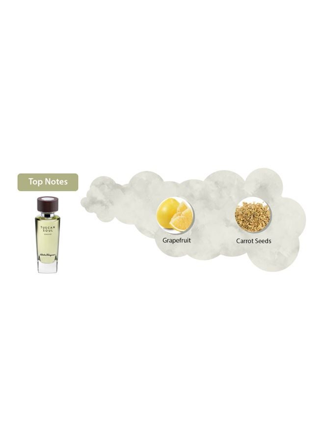Salvatore Ferragamo - Tuscan Soul Convivio EDT 75ml - Image 1