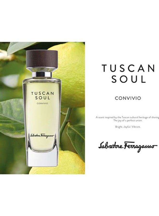 Salvatore Ferragamo - Tuscan Soul Convivio EDT 75ml - Image 1