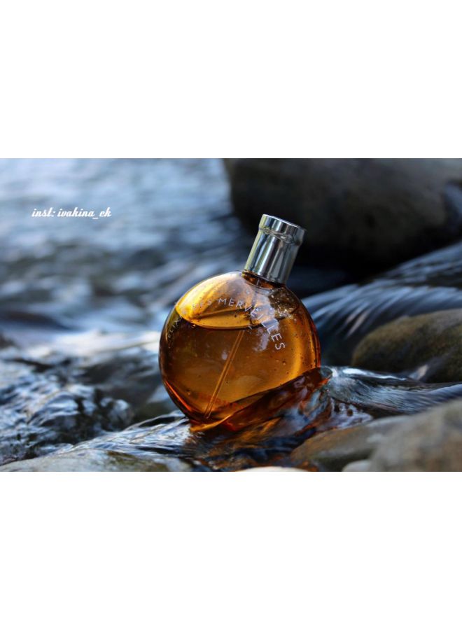 HERMES - Elixir Des Merveilles EDP 100ml - Image 1