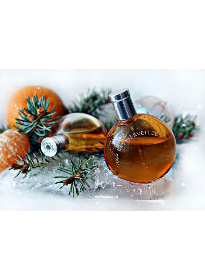 HERMES - Elixir Des Merveilles EDP 100ml - Image 1