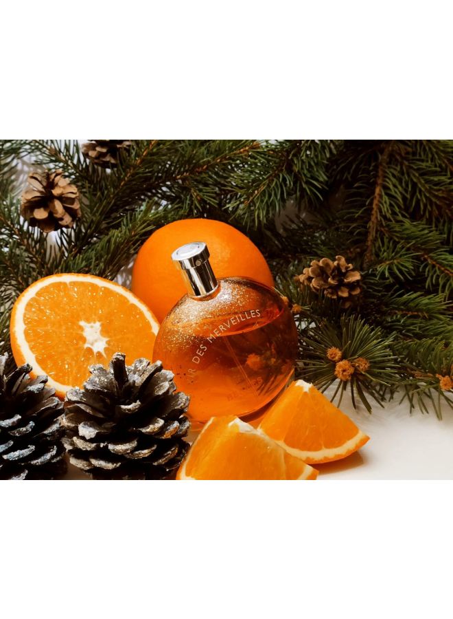 HERMES - Elixir Des Merveilles EDP 100ml - Image 1