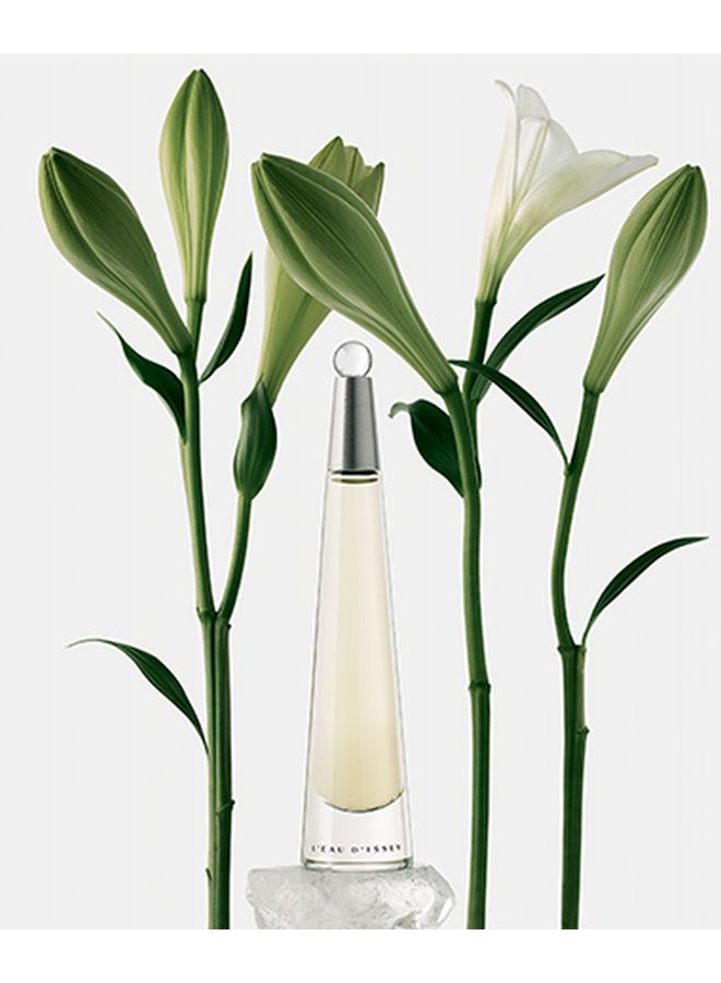 إيسي مياكي عطر Leau Dissey 50ملليلتر - Image 5