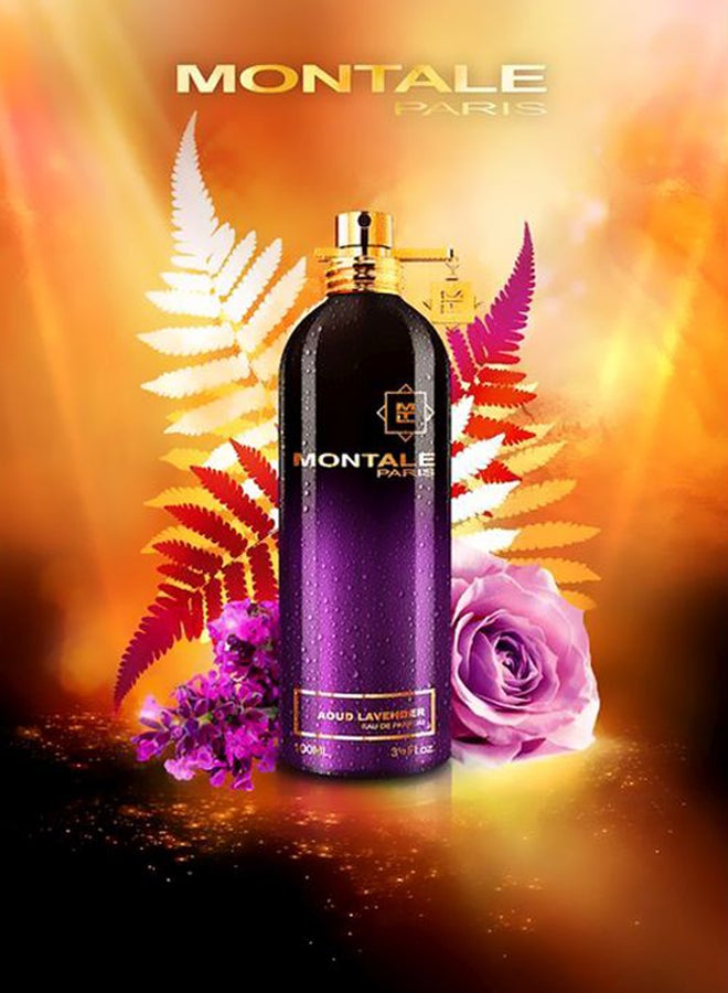 MONTALE - Aoud Sense EDP 100ml - Image 1