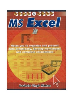 Ms Excel paperback english