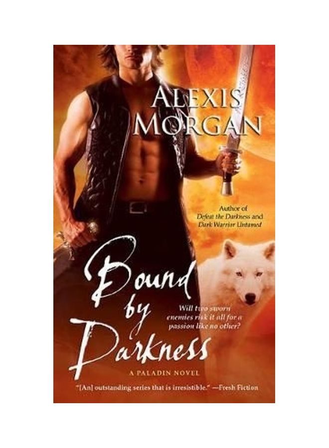 BOUND BY DARKNESS (PALADINS OF DARKNESS, BOOK 7) paperback english