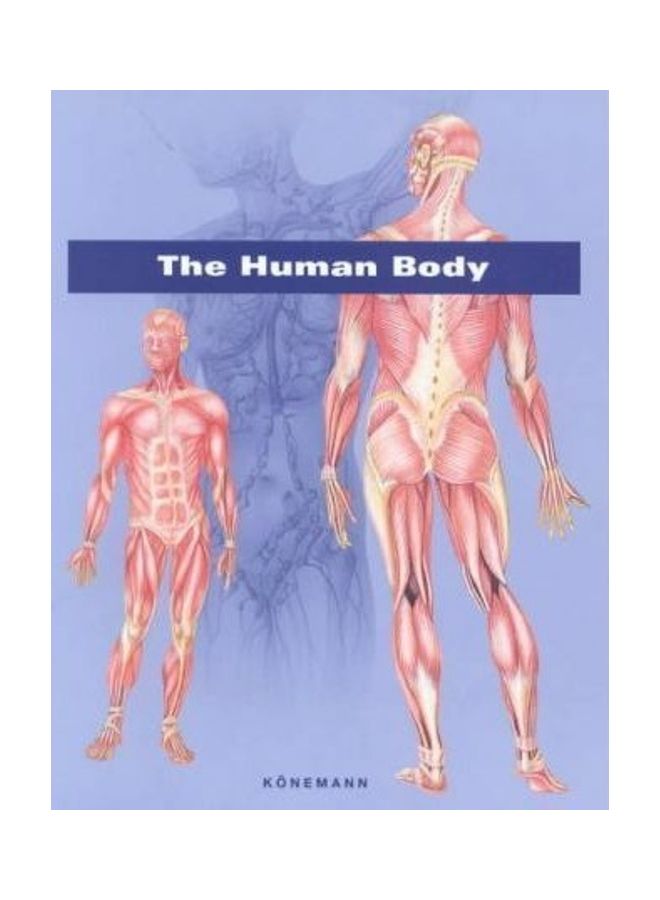 The Human Body Hardcover English by ARCO Editorial Team 
