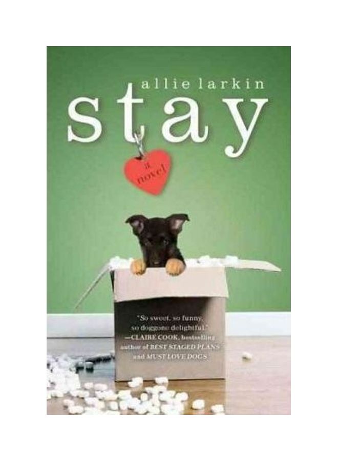 Stay: A Novel Paperback English by Allie Larkin 